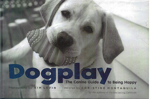 Dogplay book cover
