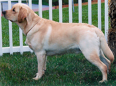 Duncan