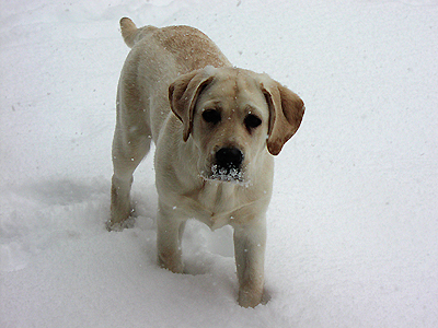 Katie's first taste of snow
