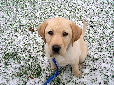 Trip's first snow experience!