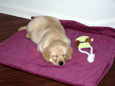 Trip sleeping