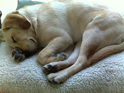 Trip sleeping