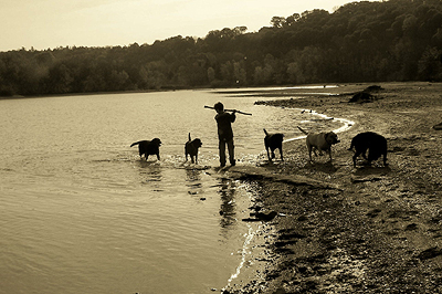 Will with labs
